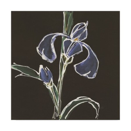 Trademark Fine Art Chris Paschke 'Iris On Black Iv' Canvas Art, 18x18 WAP05741-C1818GG